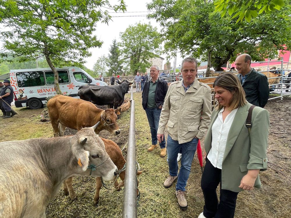 Asturias abona un nuevo pago de 2,6 millones de ayudas directas de la PAC