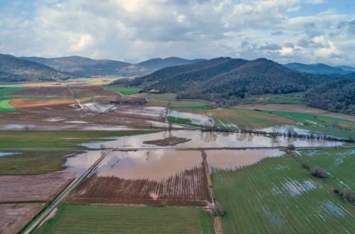 El apoyo a los agricultores ante fenómenos meteorológicos excepcionales ya no se estudiará caso por caso