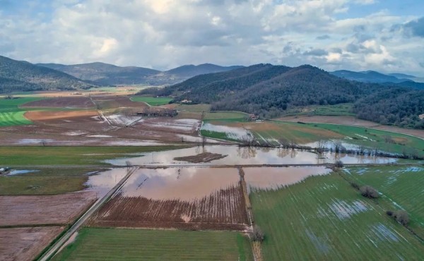 El apoyo a los agricultores ante fenómenos meteorológicos excepcionales ya no se estudiará caso por caso