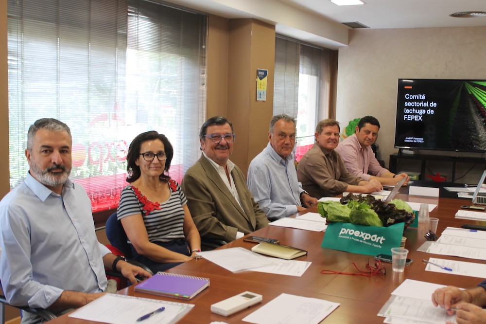 La exportación de lechuga de España se sitúa en 292.452 toneladas en el primer trimestre