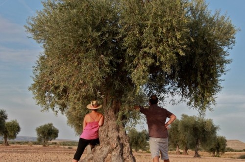 El MAPA destina más de 1,5 millones a 1.060 explotaciones agrarias de titularidad compartida