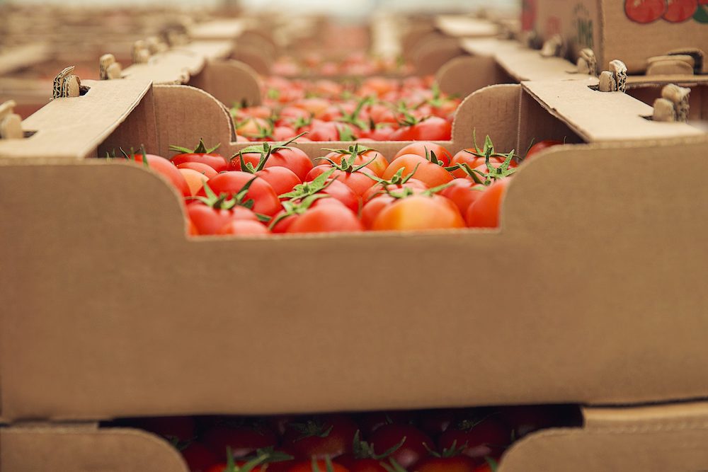 Los precios de exportación de la industria alimentaria suben el 4,5% en abril
