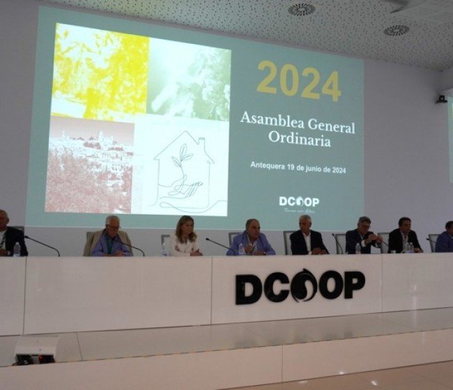 El Grupo Dcoop bate récord de exportación en 2024 superando los 914 millones de euros