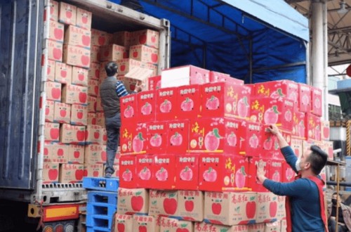 La exportación española de frutas y hortalizas frescas a China es casi residual por el proteccionismo del gigante asiático