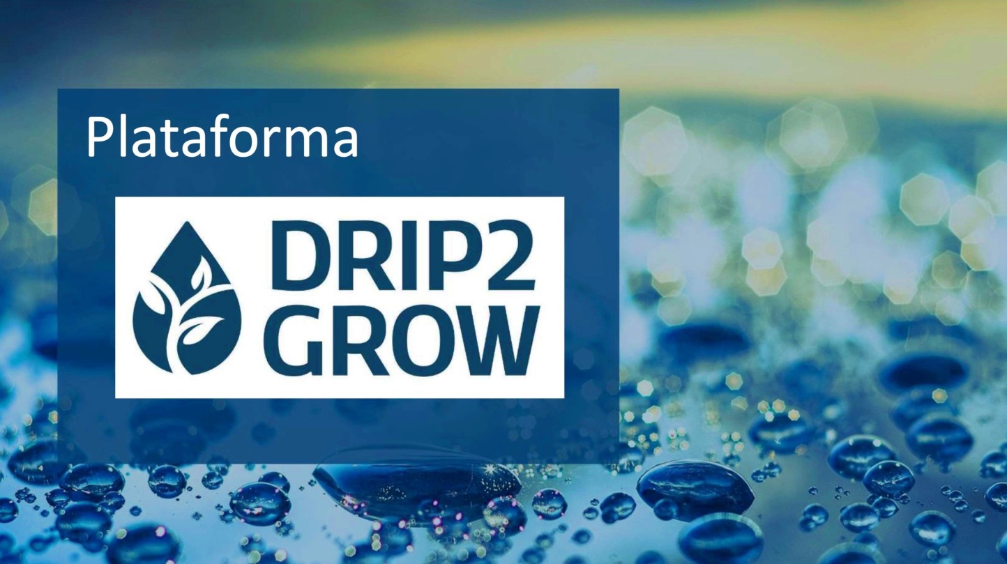 Drip2Grow, una plataforma para optimizar el uso del agua en la agricultura