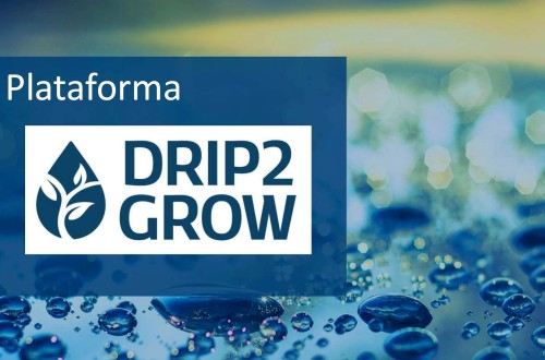 Drip2Grow, una plataforma para optimizar el uso del agua en la agricultura