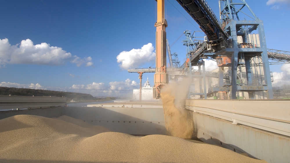 España supera los 14 Mt de importación de cereales de países terceros al cierre de la campaña 2023/24