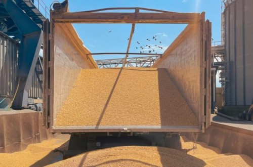 El CIC prevé que los stocks mundiales de cereales al final de 2024/25 sean los más bajos de la última década