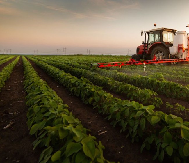 La producción agrícola de la UE bajó un 1,5% en 2023