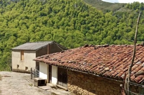 Asturias promoverá la creación de un censo de explotaciones en desuso para facilitar la incorporación de jóvenes al sector