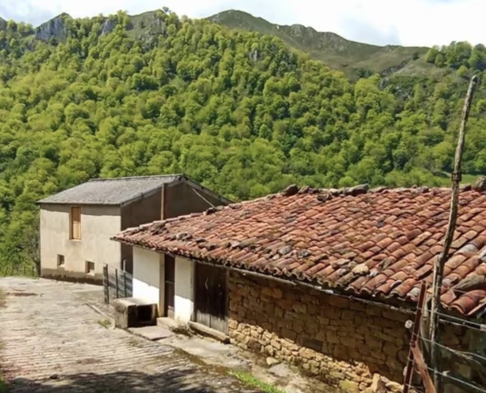 Asturias promoverá la creación de un censo de explotaciones en desuso para facilitar la incorporación de jóvenes al sector
