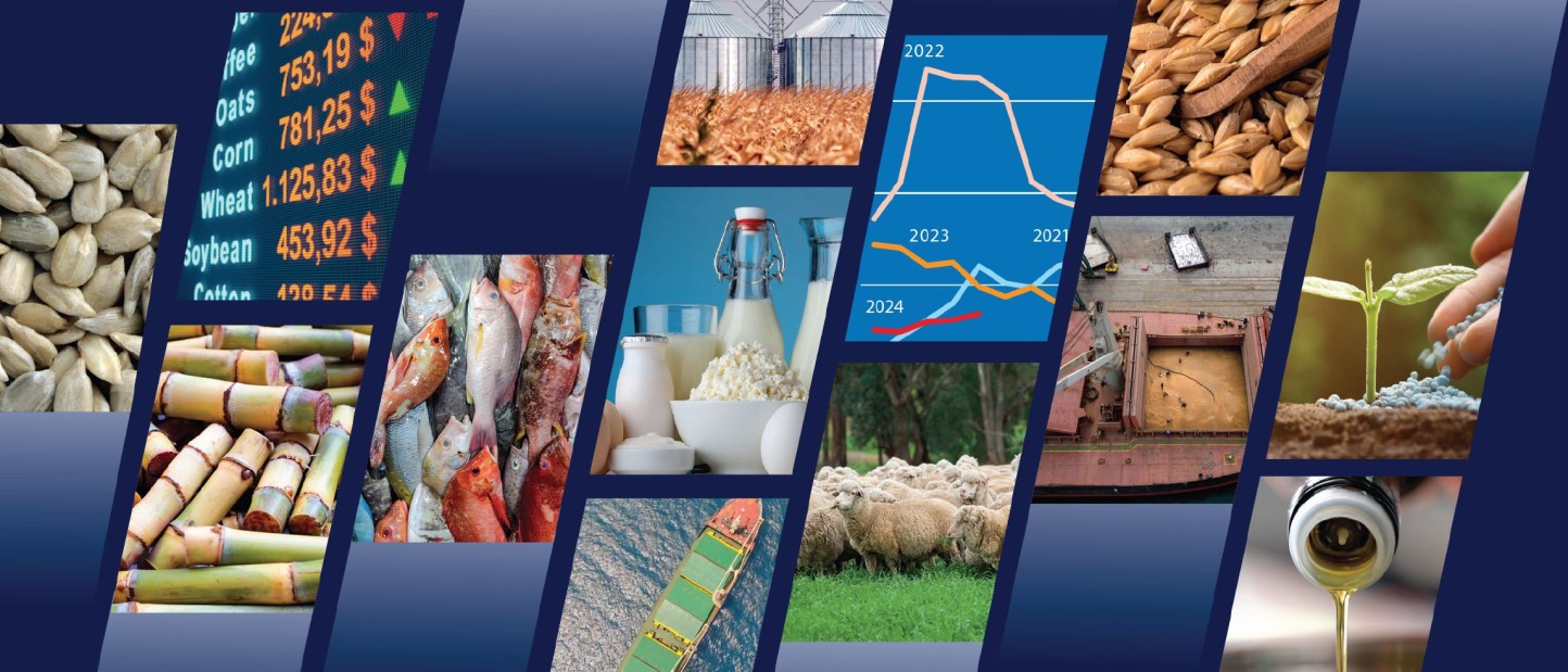 Perspectivas 2024/25: la FAO prevé calma relativa en la mayoría de los mercados mundiales agroalimentarios