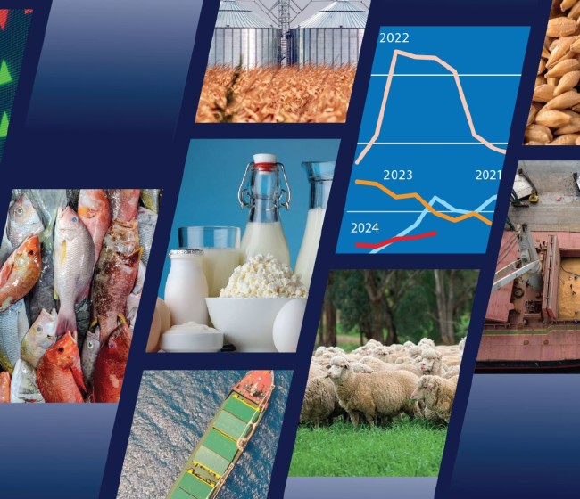 Perspectivas 2024/25: la FAO prevé calma relativa en la mayoría de los mercados mundiales agroalimentarios