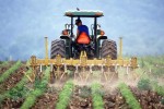 El paro registrado en agricultura baja un 0,29% en junio