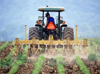 El paro en la agricultura cierra 2024 con un descenso de 1.900 personas; la ocupación cae en 56.000 empleos