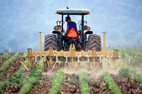 El paro registrado en agricultura baja un 0,29% en junio
