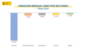 paro_sectores_mayo_2024