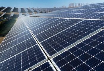 Asaja Málaga denuncia la imposición de un parque fotovoltaico sin consenso en Teba