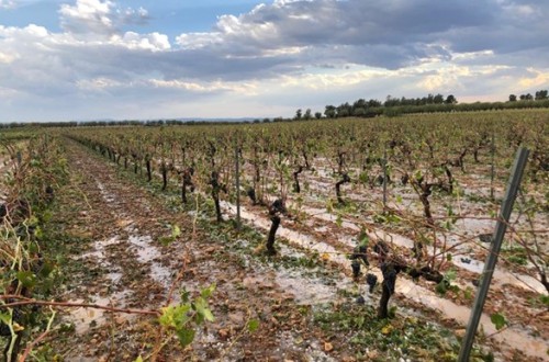 El pedrisco deja en Castilla-La Mancha 5.000 hectáreas de cultivo afectadas