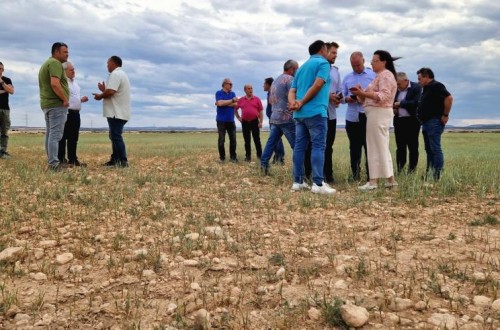 ASAJA, COAG y Cooperativas piden la convocatoria urgente de la Mesa Nacional de la Sequía