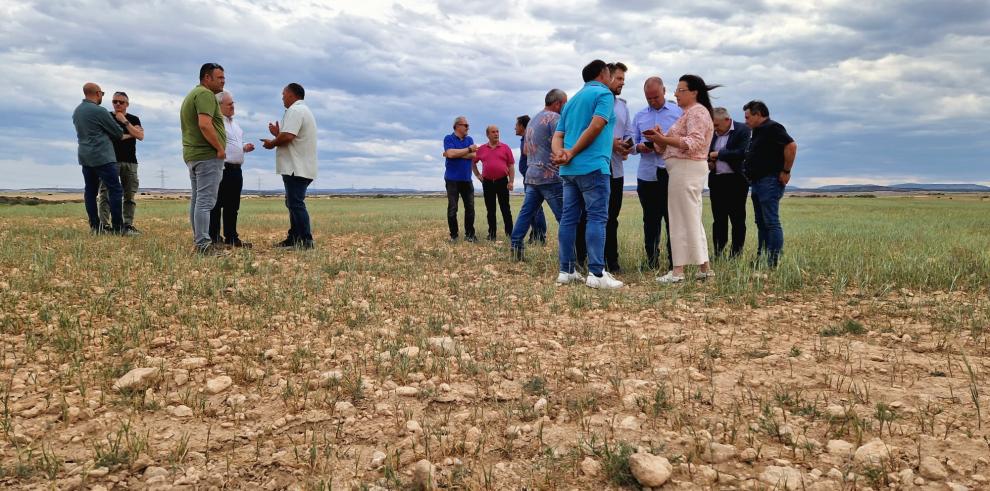 ASAJA, COAG y Cooperativas piden la convocatoria urgente de la Mesa Nacional de la Sequía