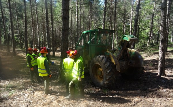 Innovaciones aplicadas en tractores especiales para el aprovechamiento forestal maderero