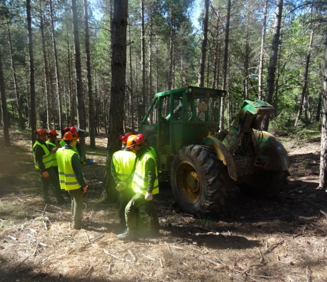 Innovaciones aplicadas en tractores especiales para el aprovechamiento forestal maderero