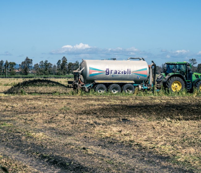 Maccarese, una de las mayores empresas agrícolas de Italia, elige BKT