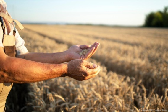COPA-Cogeca: malas perspectivas para la cosecha de cereales 2024/25 en la UE-27