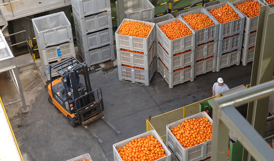 Unión de Uniones reclama más controles para evitar la presencia de materias activas prohibidas en Europa en alimentos importados