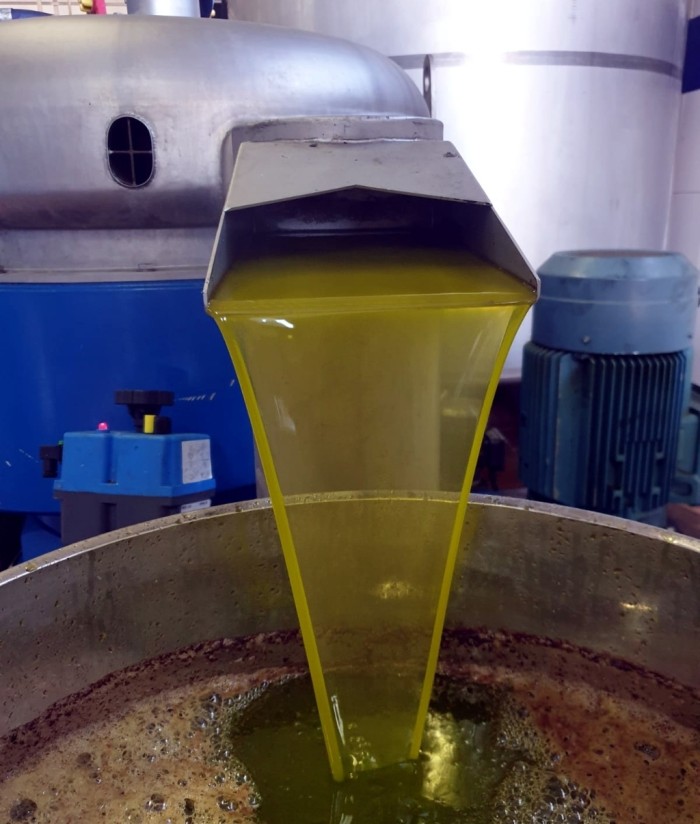 Las salidas de aceite de oliva al mercado se moderaron hasta 93.350 t en junio