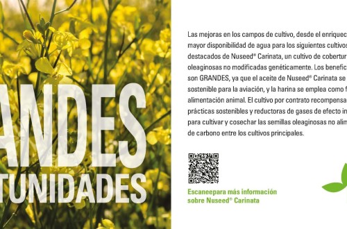 Los agricultores en España ya pueden producir Nuseed Carinata como materia prima para biocombustibles sostenibles