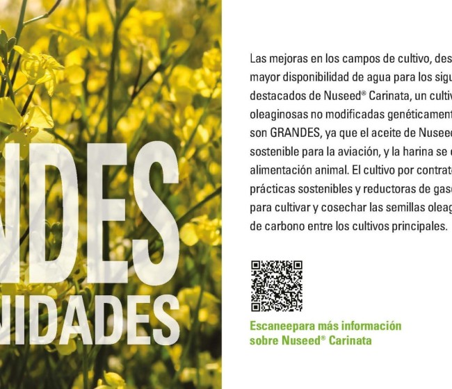 Los agricultores en España ya pueden producir Nuseed Carinata como materia prima para biocombustibles sostenibles