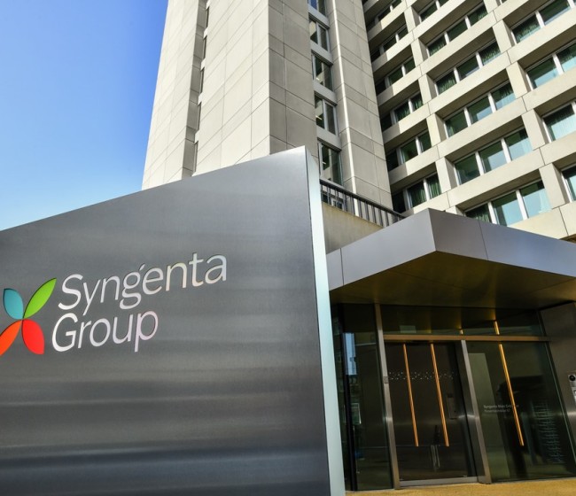 Syngenta invertirá 9,6 millones de euros en la construcción de un nuevo centro de innovación vegetal en El Ejido