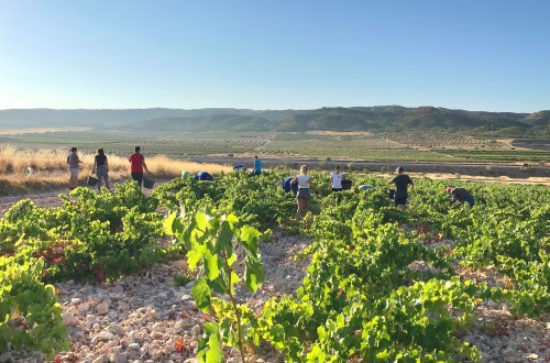 El MAPA reconoce otros 14 nuevos viñedos singulares en la DOCa Rioja