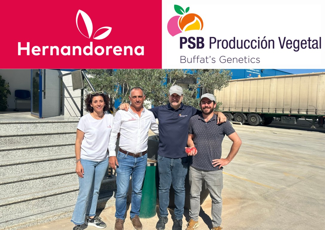 Viveros Hernandorena y PSB Producción Vegetal, veinte años de colaboración en fruta de hueso