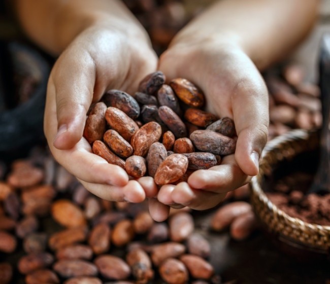 El aumento de los precios del cacao se ralentiza