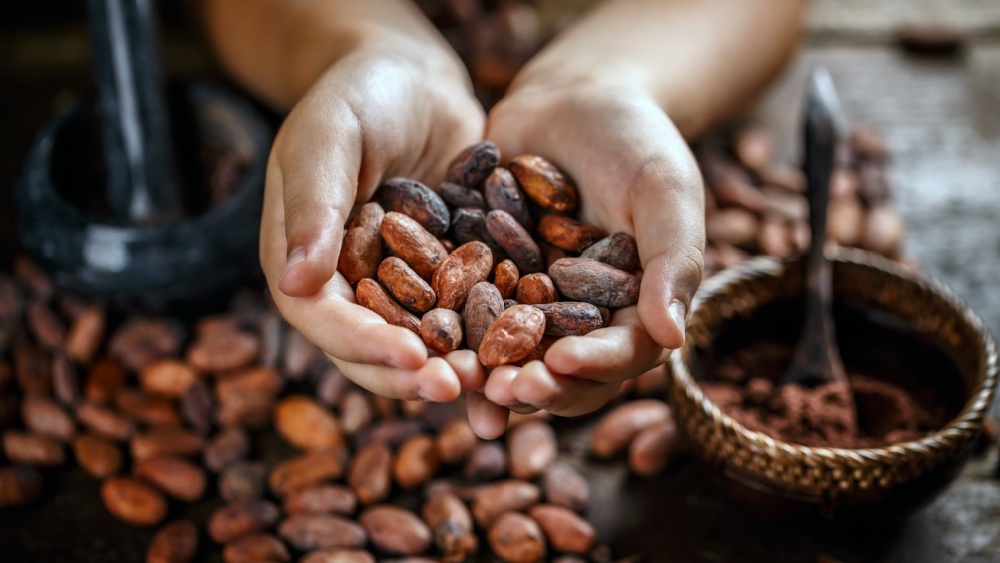 El aumento de los precios del cacao se ralentiza