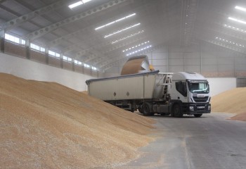 Según Cooperativas Agroalimentarias de Andalucía la producción de cereal alcanzará 1,7 millones de toneladas