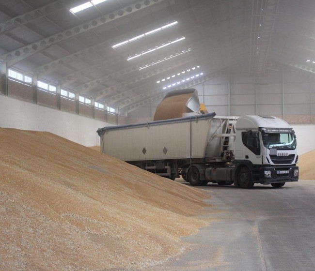 Según Cooperativas Agroalimentarias de Andalucía la producción de cereal alcanzará 1,7 millones de toneladas