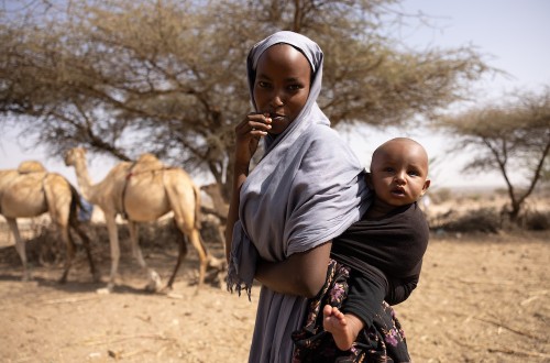 La FAO y la UE firman un programa de 47 millones para mejorar la resiliencia y la seguridad alimentaria de los pastores en África oriental