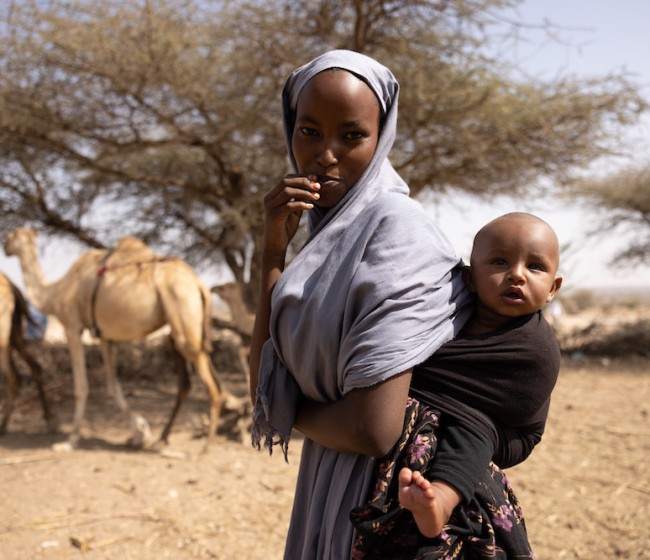 La FAO y la UE firman un programa de 47 millones para mejorar la resiliencia y la seguridad alimentaria de los pastores en África oriental