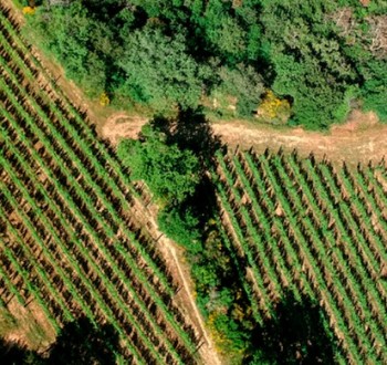 La cifra de hipotecas sobre fincas rústicas sube un 47% en octubre