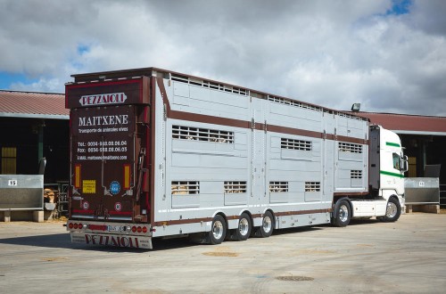 La DGT prevé autorizar camiones de 44 t para transportar paja y animales, pero en tramos de menos 50 km