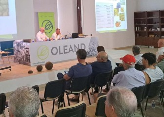 La cooperativa Oleand Manzanilla Olive integra a CASIL para superar los 160 M€ de facturación