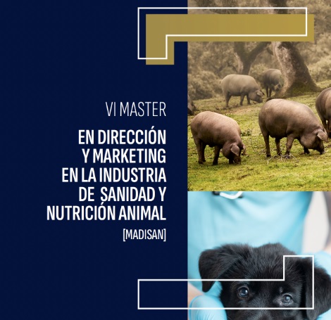 VI edición del Máster en Dirección y Marketing en la Industria de Sanidad y Nutrición Animal
