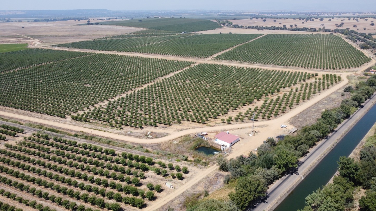 El sector agrícola es uno de los que más potencial y seguridad ofrece a los inversores institucionales