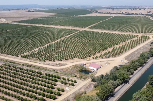 El PIB del sector primario crece el 1,1% en el tercer trimestre de 2024