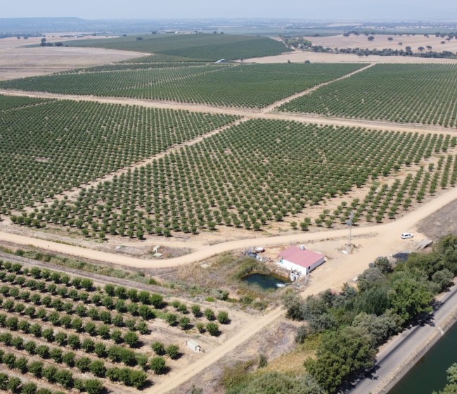 El sector agrícola es uno de los que más potencial y seguridad ofrece a los inversores institucionales