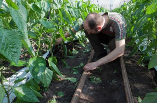 A la espera de las conclusiones del «Diálogo estratégico sobre el futuro de la agricultura en la UE”